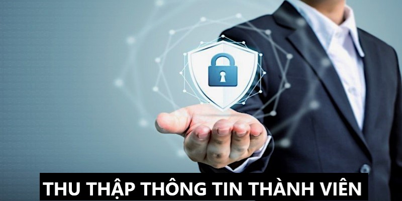 chính sách về thu thập thông tin thành viên