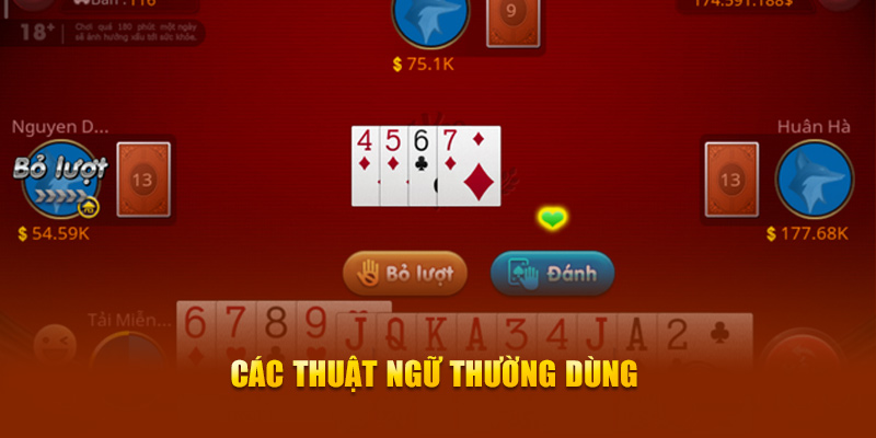 các thuật ngữ thường dùng