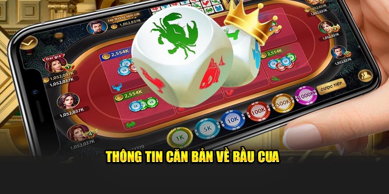 thông tin căn bản về bầu cua